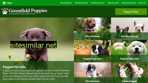 greenfieldpuppies.com alternative sites