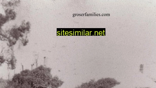 Groserfamilies similar sites