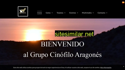 grupocinofiloaragones.com alternative sites