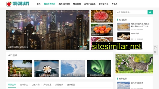 gzhuazhu.com alternative sites
