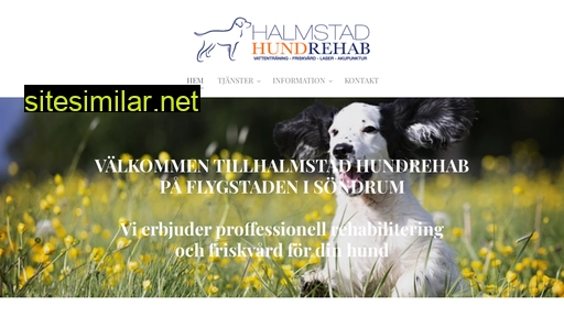 halmstadhundrehab.com alternative sites