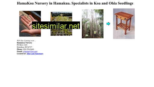 hamakoa.com alternative sites