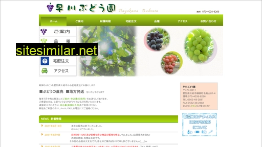 hayakawa-budouen.com alternative sites