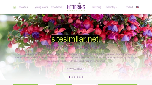 hendriksyoungplants.com alternative sites