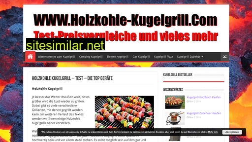 holzkohle-kugelgrill.com alternative sites
