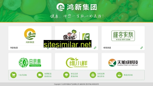 hongxinncp.com alternative sites
