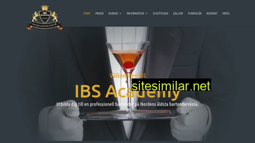 ibsacademy.com alternative sites