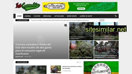 infocannabismagazine.com alternative sites