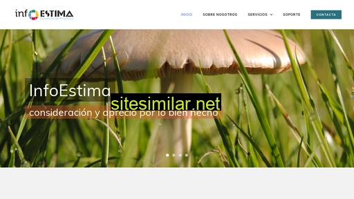 infoestima.com alternative sites