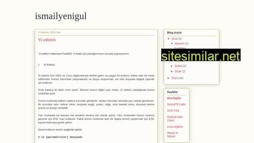 ismailyenigul.blogspot.com alternative sites