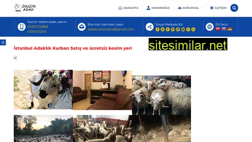 istanbuladakkurban.com alternative sites