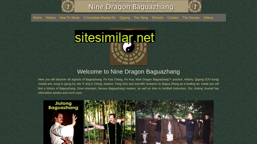 jiulongbaguazhang.com alternative sites