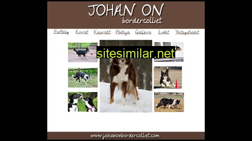 johanonbordercolliet.com alternative sites