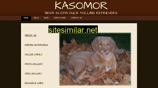 kasomor.com alternative sites
