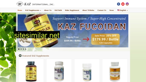 kaz-international.com alternative sites