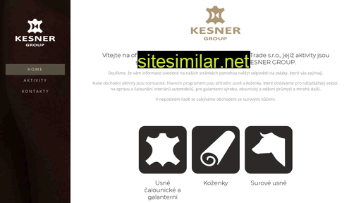 kesnergroup.com alternative sites
