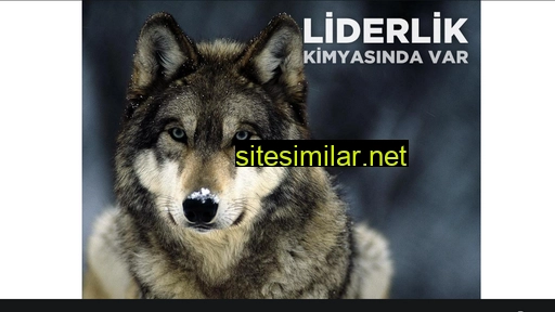 kimsel.com alternative sites