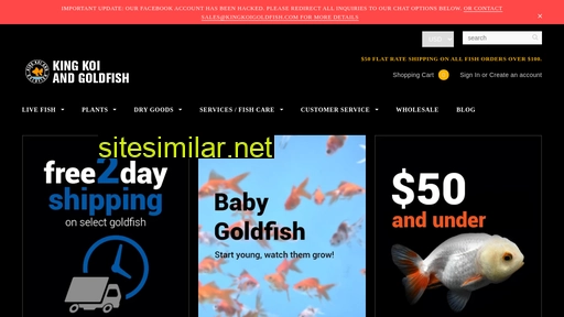 kingkoigoldfish.com alternative sites