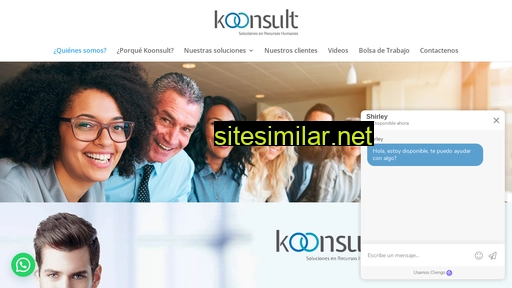 koonsult.com alternative sites