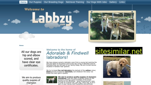 labbzy.com alternative sites