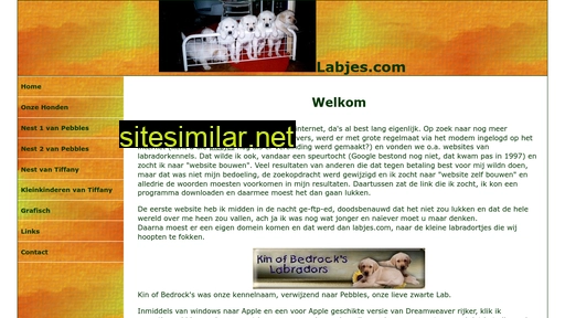 labjes.com alternative sites