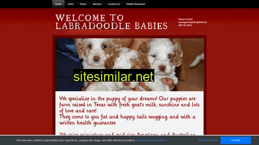 labradoodlebabies.com alternative sites