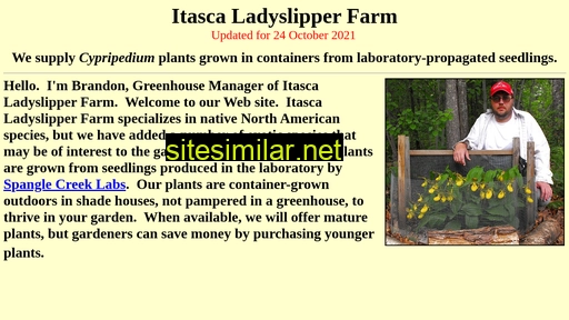 ladyslipperfarm.com alternative sites