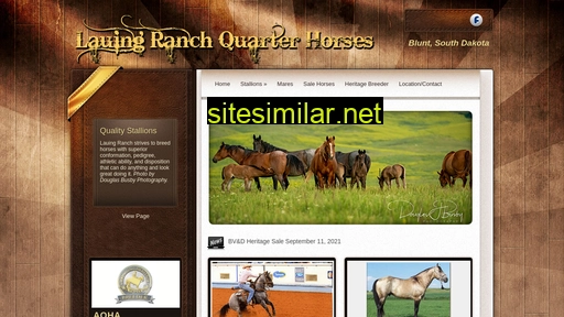 lauingquarterhorses.com alternative sites