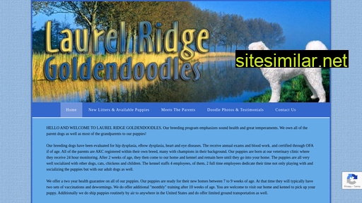 laurelridgegoldendoodles.com alternative sites
