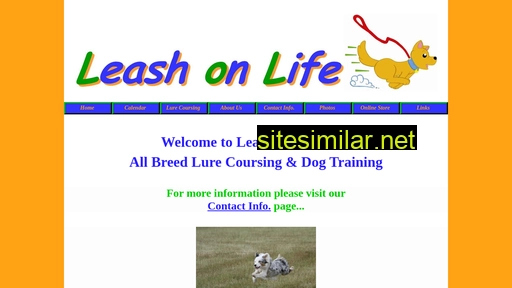 leashonlifetraining.com alternative sites