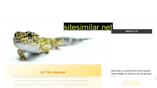 leopardgeckohabitat.com alternative sites