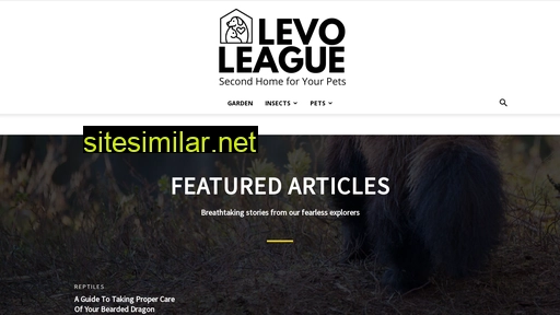 levoleague.com alternative sites