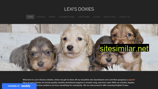 lexisdoxies.com alternative sites