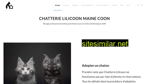 lilicoon.com alternative sites