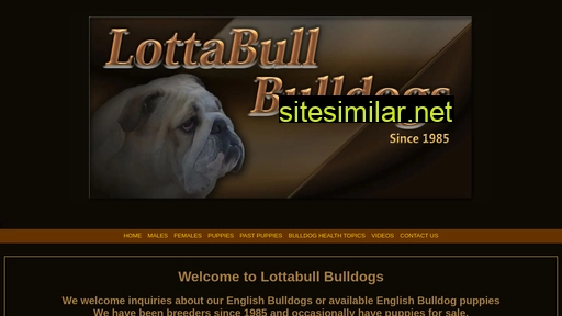lottabull.com alternative sites