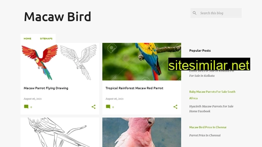 macawbird-cage.blogspot.com alternative sites