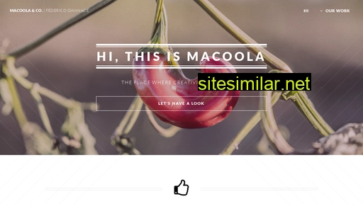 macoola.com alternative sites