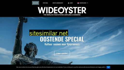 magazine.wideoyster.com alternative sites