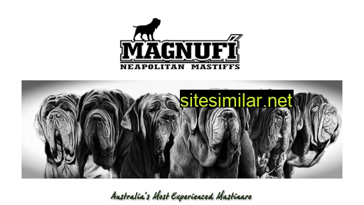 Magnufi similar sites