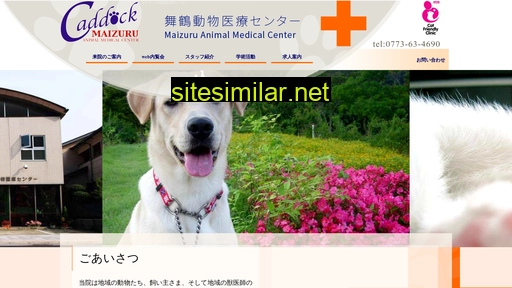 maizuru-amc.com alternative sites