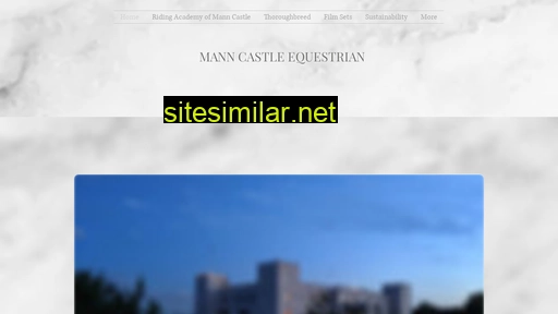 manncastle.com alternative sites