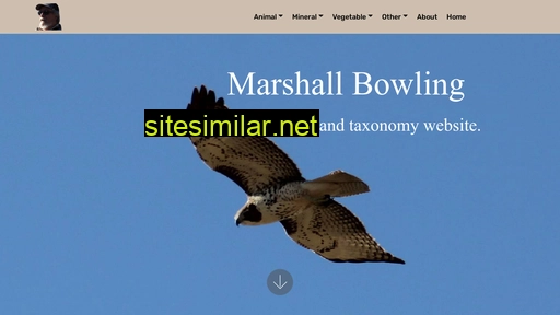 marshallbowling.com alternative sites