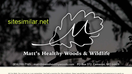 mattshealthywoods.com alternative sites