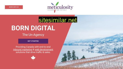 meticulosity.com alternative sites