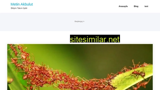 metinakbulut.com alternative sites