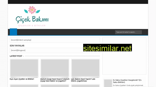 mevsimlikcicekbakimi.blogspot.com alternative sites