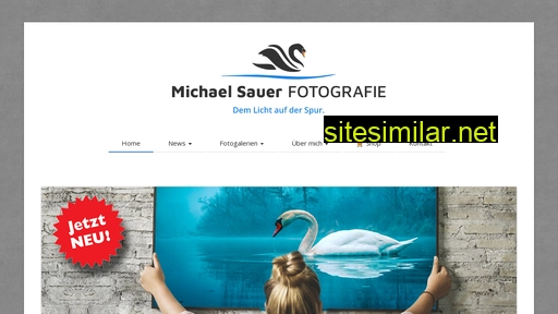 michael-sauer.com alternative sites