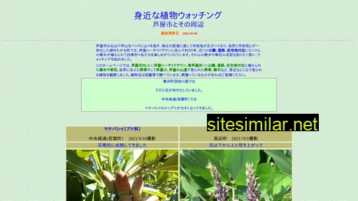 Mijika similar sites