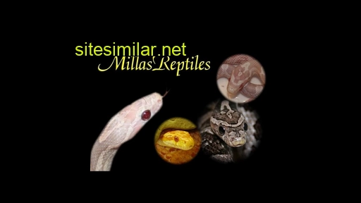 millasreptiles.com alternative sites