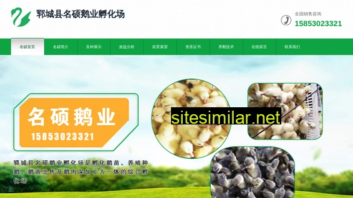 mingshuoeye.com alternative sites
